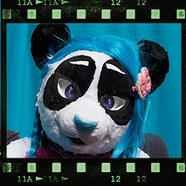 Eurofurence 2018 fursuit photoshoot. Preview picture of Sini