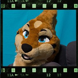 Eurofurence 2018 fursuit photoshoot. Preview picture of Netaro