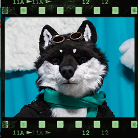 Eurofurence 2018 fursuit photoshoot. Preview picture of Sazi