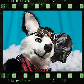 Eurofurence 2018 fursuit photoshoot. Preview picture of Hiero