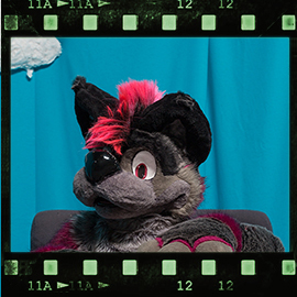 Eurofurence 2018 fursuit photoshoot. Preview picture of Checkpoint