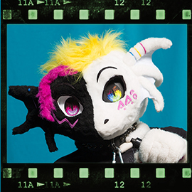 Eurofurence 2018 fursuit photoshoot. Preview picture of Duality