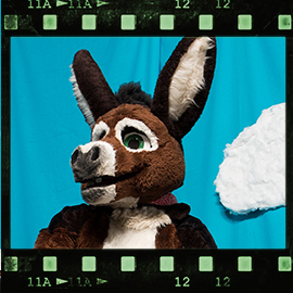 Eurofurence 2018 fursuit photoshoot. Preview picture of Ploddy Brayer