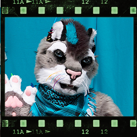 Eurofurence 2018 fursuit photoshoot. Preview picture of Silberpfote