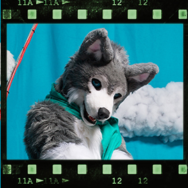 Eurofurence 2018 fursuit photoshoot. Preview picture of Jack