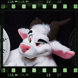 Eurofurence 2019 fursuit photoshoot. Preview picture of Zottle