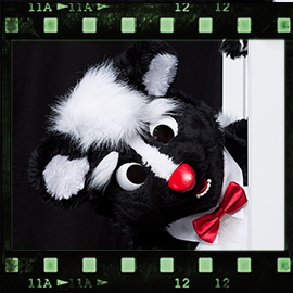 Eurofurence 2019 fursuit photoshoot. Preview picture of Stinky