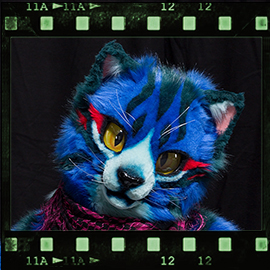 Eurofurence 2019 fursuit photoshoot. Preview picture of Lestar