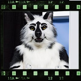 Eurofurence 2019 fursuit photoshoot. Preview picture of VVolfsong