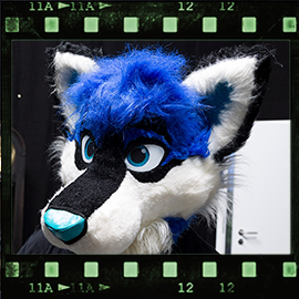 Eurofurence 2019 fursuit photoshoot. Preview picture of Rintin