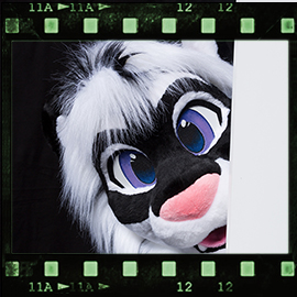 Eurofurence 2019 fursuit photoshoot. Preview picture of Tikon