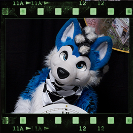 Eurofurence 2019 fursuit photoshoot. Preview picture of HemiHusky