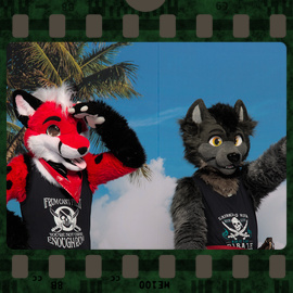 Eurofurence 2022 fursuit photoshoot. Preview picture of Andrew Fox, Szürky