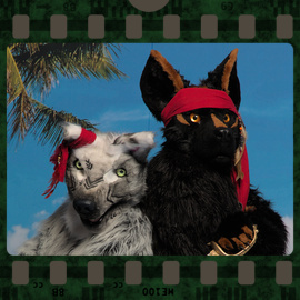 Eurofurence 2022 fursuit photoshoot. Preview picture of Darky, Kaywox