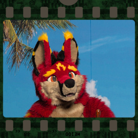 Eurofurence 2022 fursuit photoshoot. Preview picture of Fervory