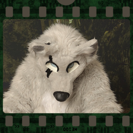 Eurofurence 2023 fursuit photoshoot. Preview picture of Santamccloud