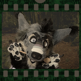 Eurofurence 2023 fursuit photoshoot. Preview picture of Leoka64, Sepura