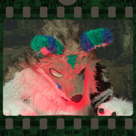 Eurofurence 2023 fursuit photoshoot. Preview picture of Taeck Salo