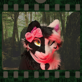 Eurofurence 2023 fursuit photoshoot. Preview picture of Catty