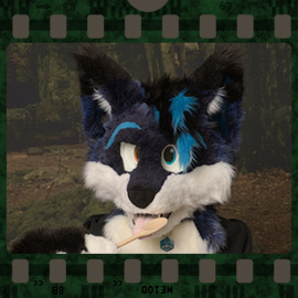 Eurofurence 2023 fursuit photoshoot. Preview picture of Cole, Snow Foxx