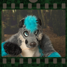 Eurofurence 2023 fursuit photoshoot. Preview picture of WFoxy