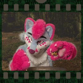 Eurofurence 2023 fursuit photoshoot. Preview picture of Noki